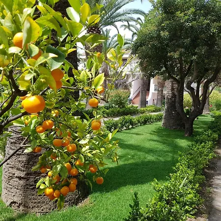 Villaggio La Tonnara Bilocale Con Patio N 114 Oliveri